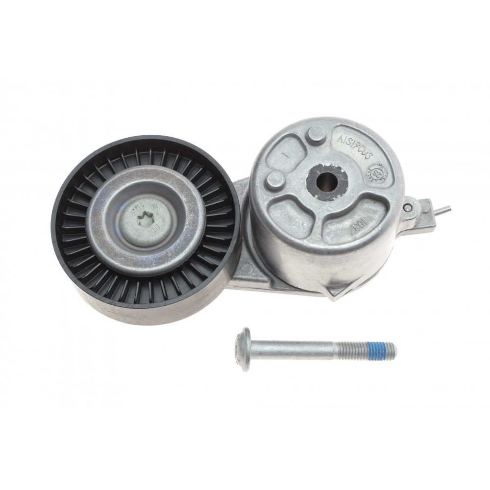 Натяжник ременя генератора Ford Mondeo IV/Galaxy 1.8TDCi 06-15