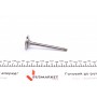 Клапан (впуск) VW Caddy/Golf/Polo 1.4-1.6/1.9D (35.6x7x94.8) (азотування)