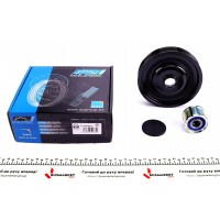 Шків колінвалу + шків генератора Renault Megane/Laguna 2.0 16V 02- (7PK)