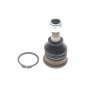 Опора кульова (передня/знизу) Nissan Primera/Sunny 86-02/Almera II 00-