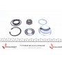 Підшипник маточини (задньої) Citroen Axo/Saxo/Xsara/Zx/Peugeot 106/205/206/306/309 (к-кт) 83-