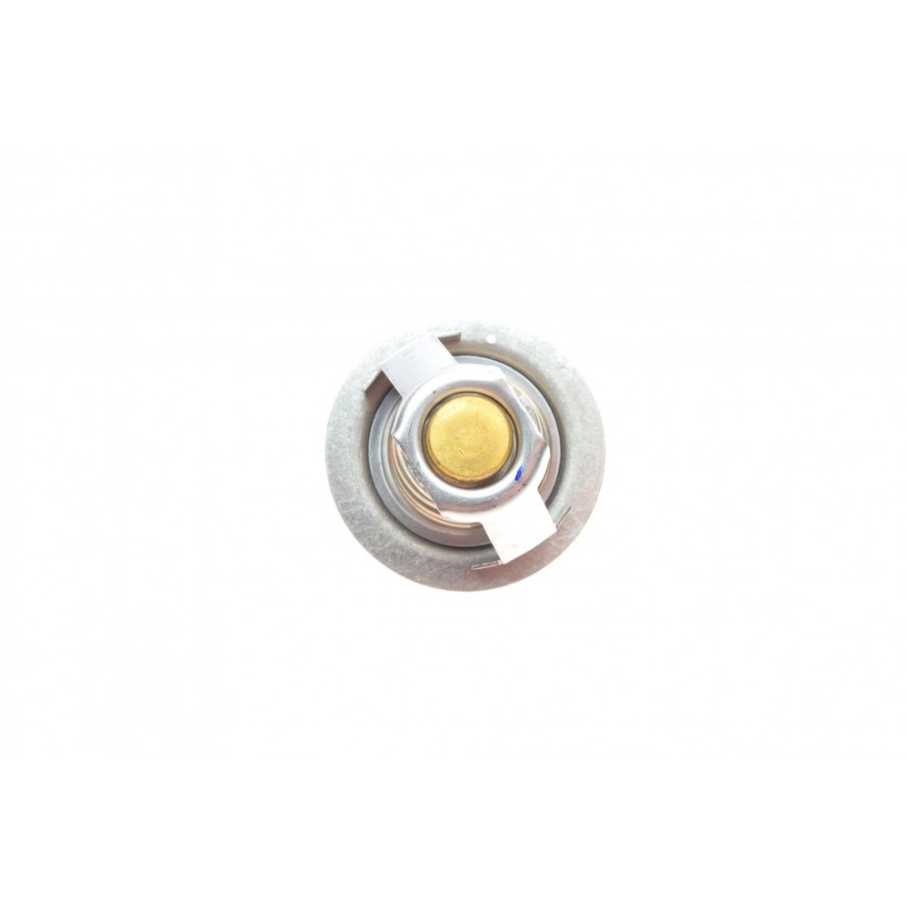 Термостат Renault Koleos/Laguna III/Megane III 2.0 16V 07-