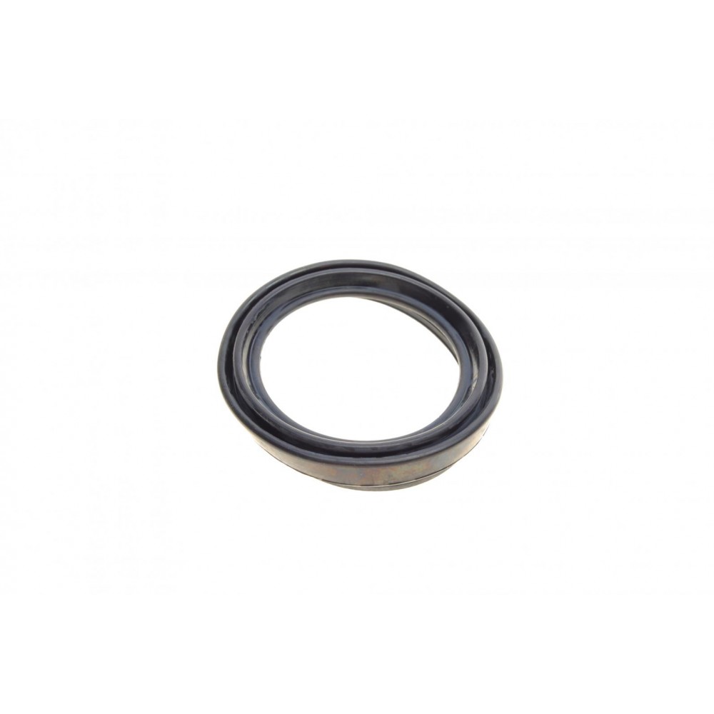 Ремкомплект супорта (переднього) Citroen Jumpy/Fiat Scudo 95-06 (d=60mm)(+ поршен/направляю)(Lucas)