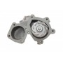Помпа води Fiat Duna 1.7DS 87-91/Fiorino 1.7D 88-99 (WPQ0312)