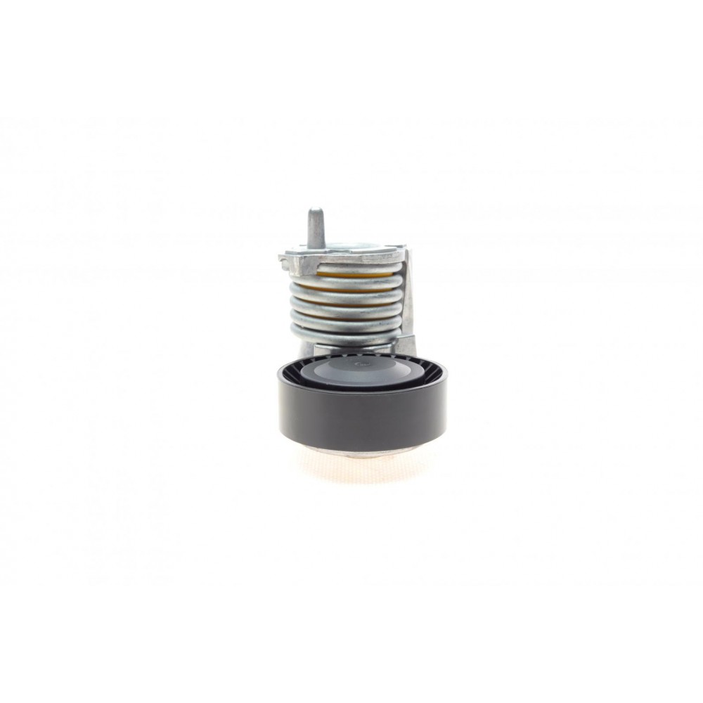 Натяжник ременя генератора Ford Focus/Volvo C30/C70/S40/V50/XC90 04-14