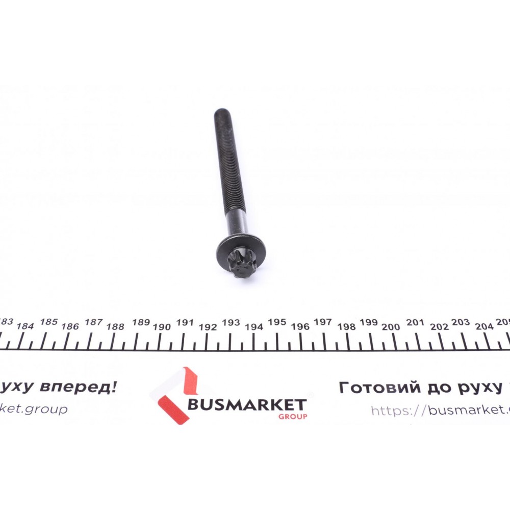 Болти головки (к-кт 10шт.) Renault Kangoo 1.5dCi