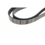 Ремінь генератора VW Golf/BMW/Ford/Opel (6PK1540)
