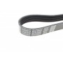 Ремінь генератора Jeep Grand Cherokee II 2.7 CRD 01-05