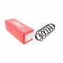 Пружина (задня) VW Golf V/VI 1.2-1.4TSI/1.4-2.0FSI/1.9-2.0TDI 03-13/Skoda Rapid 12-19