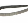 Ремінь генератора VW Golf/VW Bora 2.3 -00 (6PK1285)