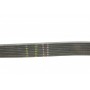 Ремінь генератора BMW 3 (F30)/5 (F10) 11-16 (N55B30A) (8PK942)