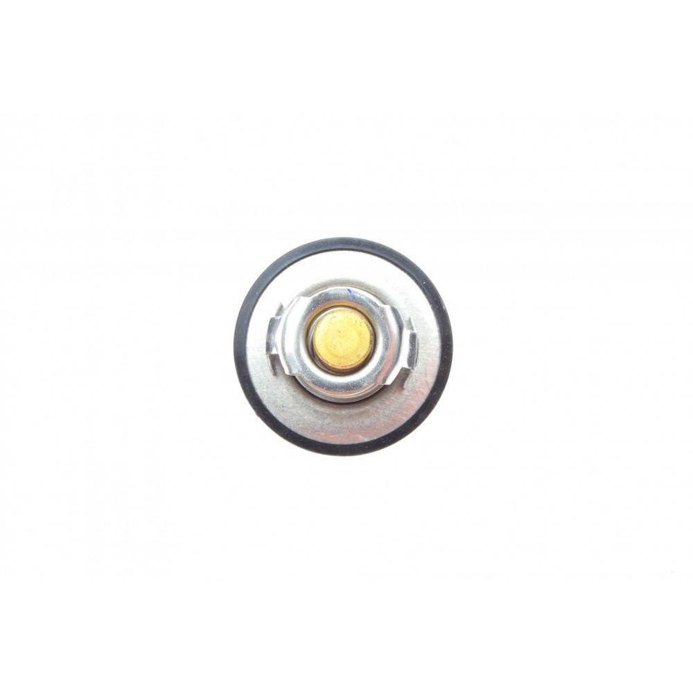 Термостат Citroen Jumper 2.0 94-02/Peugeot Partner 1.1-1.4 96-15/Renault Kangoo 1.9 TDI 00- (89 °C)