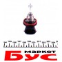 Автолампа H16 12V 19W PGJ19-3
