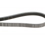 Ремінь генератора Citroen Jumper/Fiat Ducato 3.0HDi/D 06-