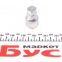 Комплект болтів колісних Fiat Ducato/ Scudo/Peugeot Expert -06 (M14x1,5x29/53.5)