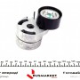 Натяжник ременя генератора Ford Fiesta/Fusion 1.4 TDCi 01-12