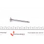 Клапан (випуск) Audi A4/A6/Skoda Superb/VW Passat 2.5TDI 02-05 (24.1x6x100.5) (азотування)