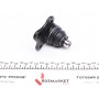 Опора кульова (передня/знизу) Ford Fiesta/Fusion 1.2-1.6 01-12