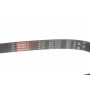 Ремінь генератора VW T4 2.5 90-03/Ford Fiesta/Mondeo 1.8/2.0 00-08/Jeep Grand Cherokee 4.7 01-08
