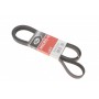 Ремінь генератора VW T4 2.5 90-03/Ford Fiesta/Mondeo 1.8/2.0 00-08/Jeep Grand Cherokee 4.7 01-08