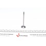 Клапан (випуск) Opel Astra G/Insignis A/Vectra B/C/Zafira A/B (30.1x6x100.9) (азотований)