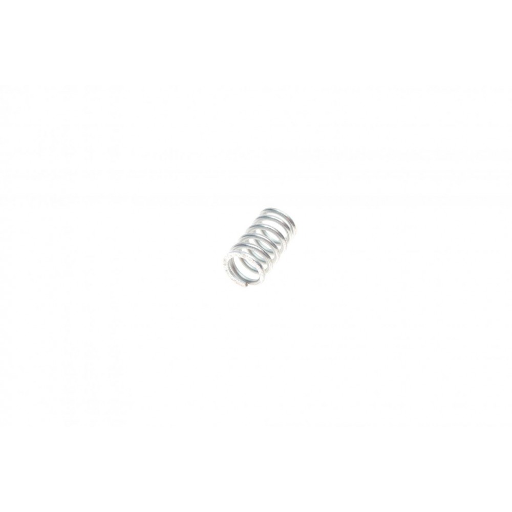 Комплект пружинок колодок ручника VW T5 03-/BMW 3 (E46)/5 (E60)/X5 (E53)/X6 (E71) 96-17