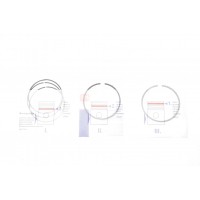 Кільця поршневі Ford Tourneo Connect/Transit Connect 1.6 13- (79mm/STD) (1.2-1.2-2.0) = 8921760000