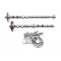 Розподільний вал VW Golf V/VI/Passat B6/B7 2.0 TFSI 04-13 (впуск)