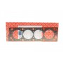 Прокладка ГБЦ Citroen Xantia/Peugeot 306/405/605 2.0 89-99 (1.27mm)