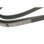 Ремінь генератора MB C-class (W203/W204/S203/S204) 02-14 (7PK2418)