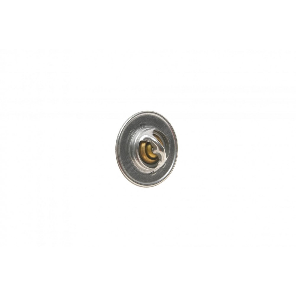 Термостат VW T5 2.0i 03-