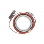 Патрубок інтеркулера (L) Ford C-Max/Focus/Mondeo 2.0TDCi 07-