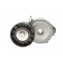 Натяжник ременя генератора Ford Mondeo IV/Peugeot 407 2.0TDCi/2.2 HDi 06-