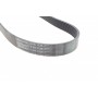 Ремінь генератора Mazda 6 2.0 MZR-CD 07-10/MPV 2.0 DI 02-06 (8PK1230)