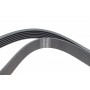Ремінь генератора Renault Megane I/Ford Transit 2.0 94-00 (6PK1650)