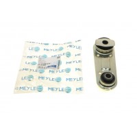 Подушка двигуна (задня/нижня) Renault Laguna II 1.8-3.0/1.9dCi-2.2dCi 01- (косточка)