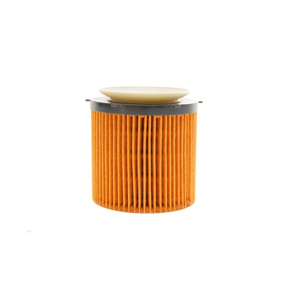 Фільтр масляний BMW 3 (F30)/5 (F10/F11)/X3 (F25) 2.0i 11- N20/N55