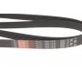 Ремінь генератора Ford Mondeo IV 2.0TDCI 07-15/Volvo S80/V70 2.0D/TDi 07-15