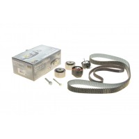 Комплект ГРМ Citroen C5 III/C6/Peugeot 407 2.7D/3.0D 04-
