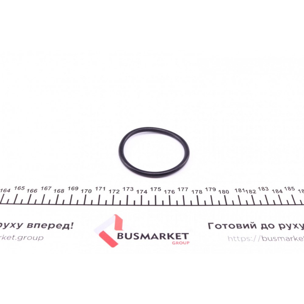 Термостат VW T5 2.0i 03- (TE0127)