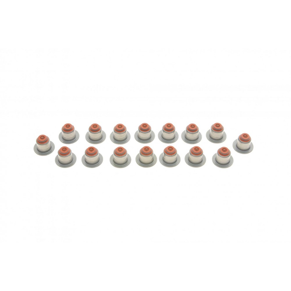 Сальник клапана (впуск/випуск) BMW 3 (F30/G20/G80)/5 (F10/G30/G90)/7 (G11) 10- M47/M67 (к-кт 16шт)