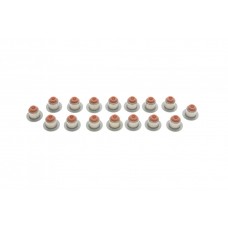 Сальник клапана (впуск/випуск) BMW 3 (F30/G20/G80)/5 (F10/G30/G90)/7 (G11) 10- M47/M67 (к-кт 16шт)
