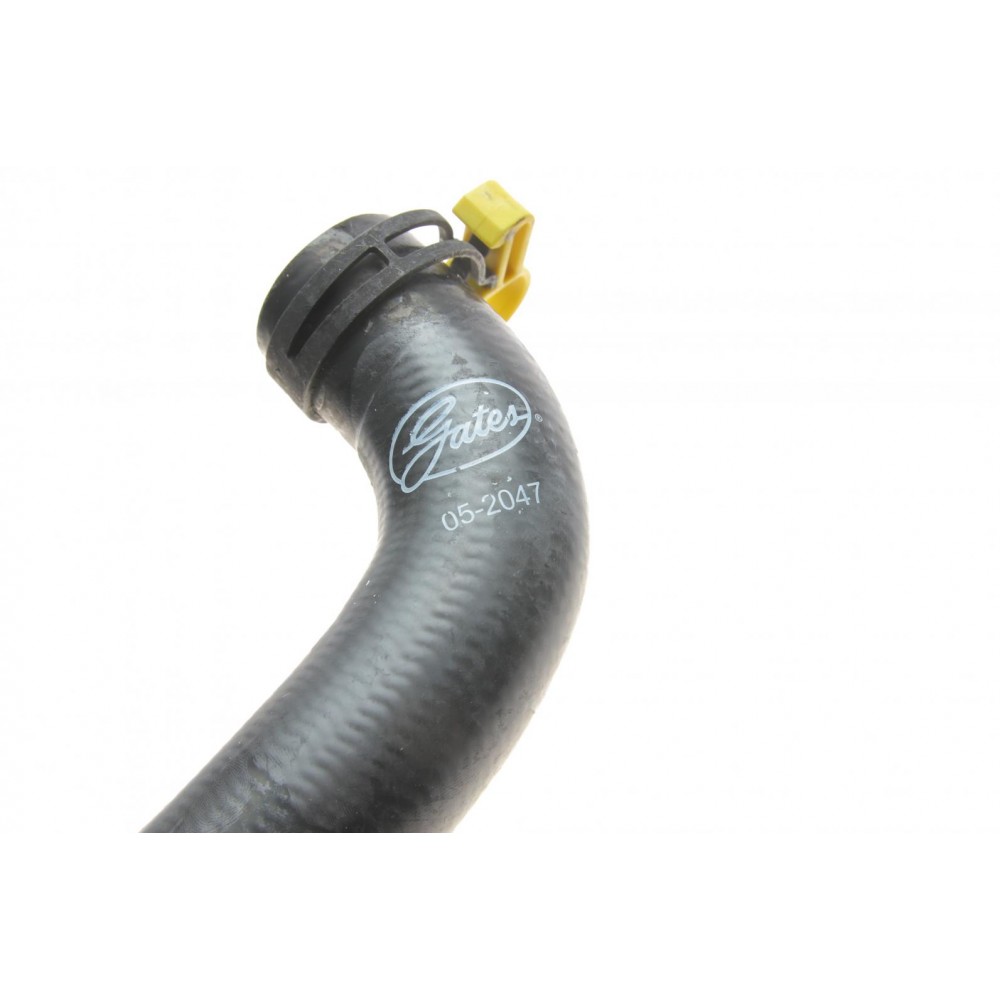 Патрубок радіатора (нижній) Ford Fiesta 1.25-1.6 16V 01-08 (R)
