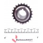 Комплект ланцюга ГРМ Toyota Yaris 1.4 D 01-