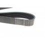 Ремінь генератора BMW 3 (F30)/5 (F10) 11-16 (N55B30A) (8PK942)