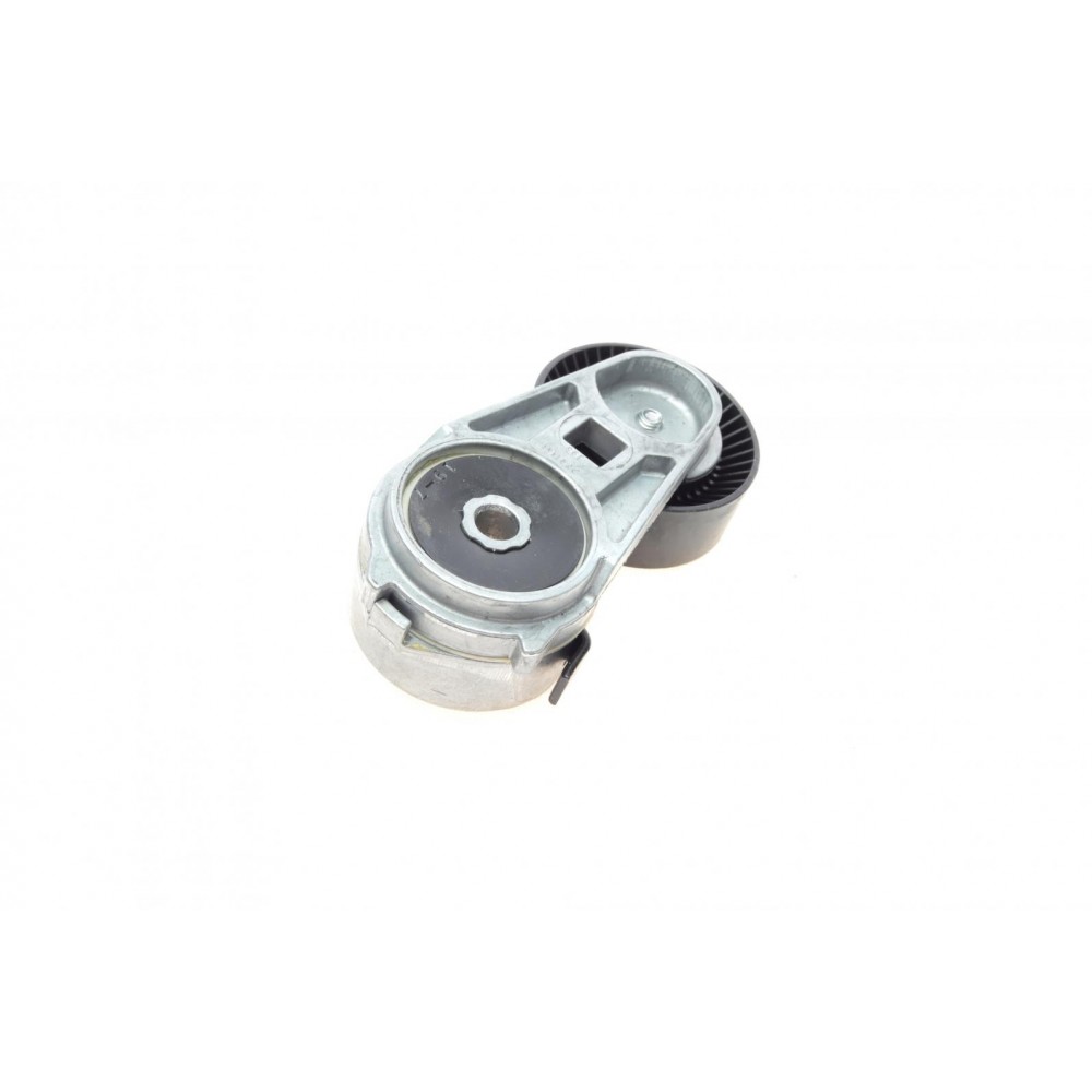 Натяжник ременя генератора Nissan X-Trail/Qashqai/Renault Clio/Fluence/Laguna III 2.0 16 V 07-