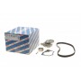 Комплект ГРМ + помпа Renault Kangoo 1.4/1.6i 97-/Dacia Logan/Sandero 1.4/1.6 04- (17x96z)