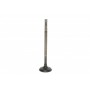 Клапан (впуск) Renault Megane IV/Clio IV/Logan II/Sandero 0.9-1.2 TCe 12- (27x5,5x101)