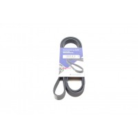 Ремінь генератора Renault Megane I/Ford Transit 2.0 94-00 (6PK1650)