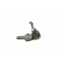 Опора кульова (передня/знизу) Ford C-Max 07-10/Focus 04-12/Volvo C30/C70/S40/V50 04-13 (SSP1836)